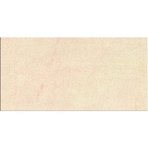 Gạch ốp tường Trường Thịnh COOLSTONE C36105